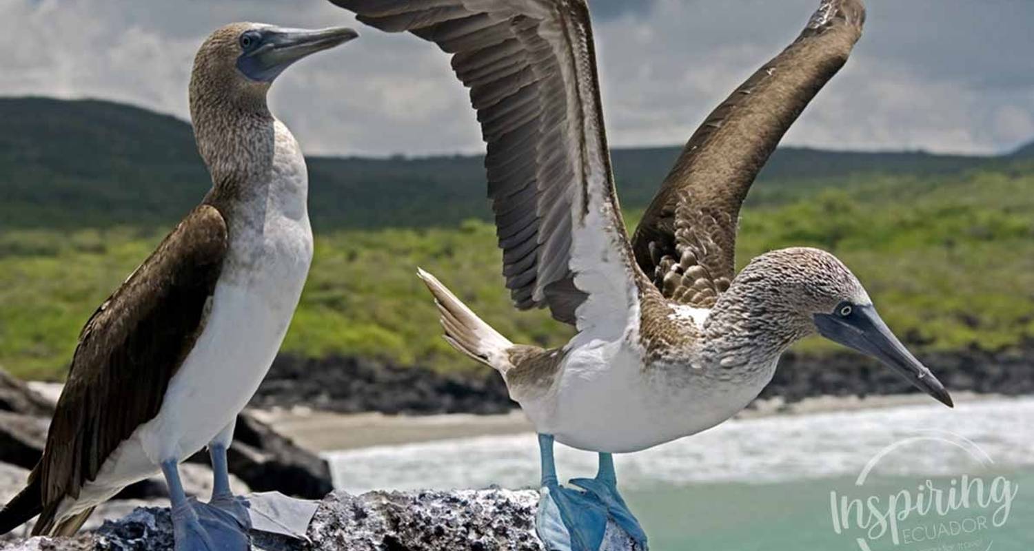 Expedición de 12 días a Galápagos - Inspiring Ecuador