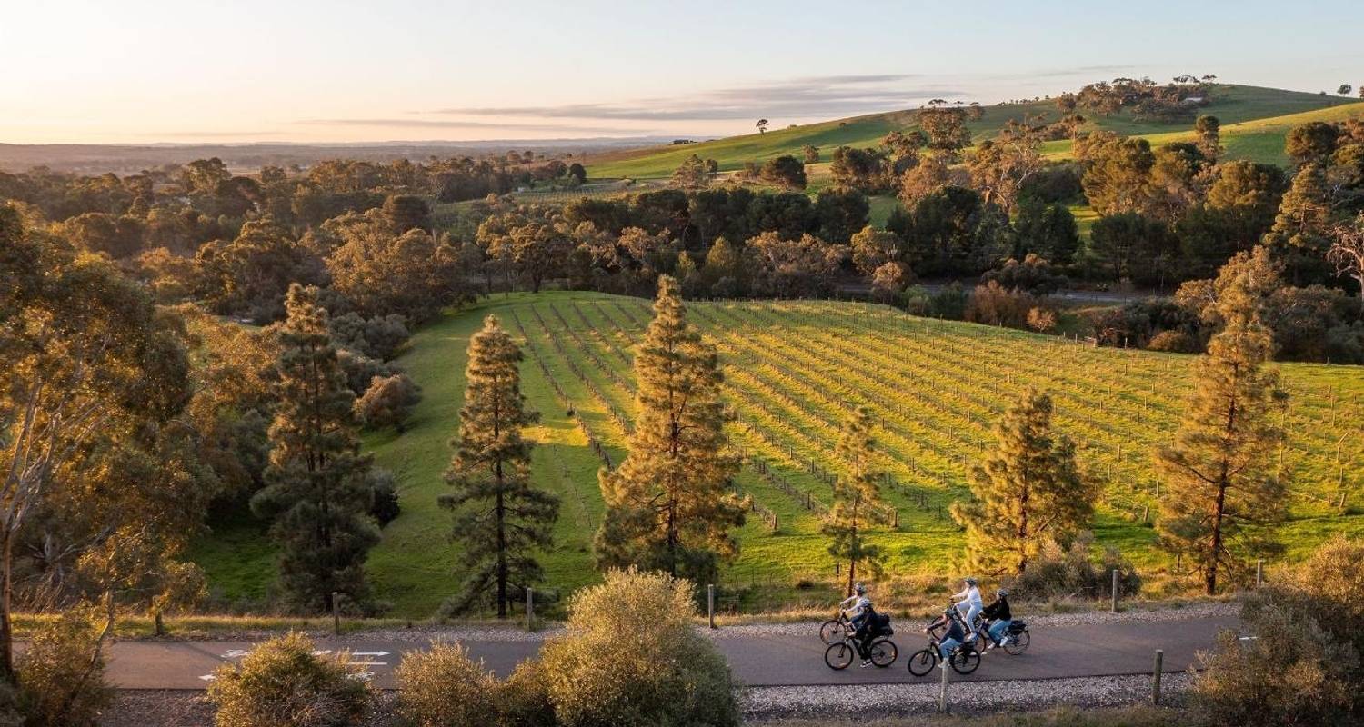 Circuit de 7 jours en E- Bike pour découvrir la gastronomie et les vins d'Australie méridionale - Bike About Mountain Bike Tours and Hire 