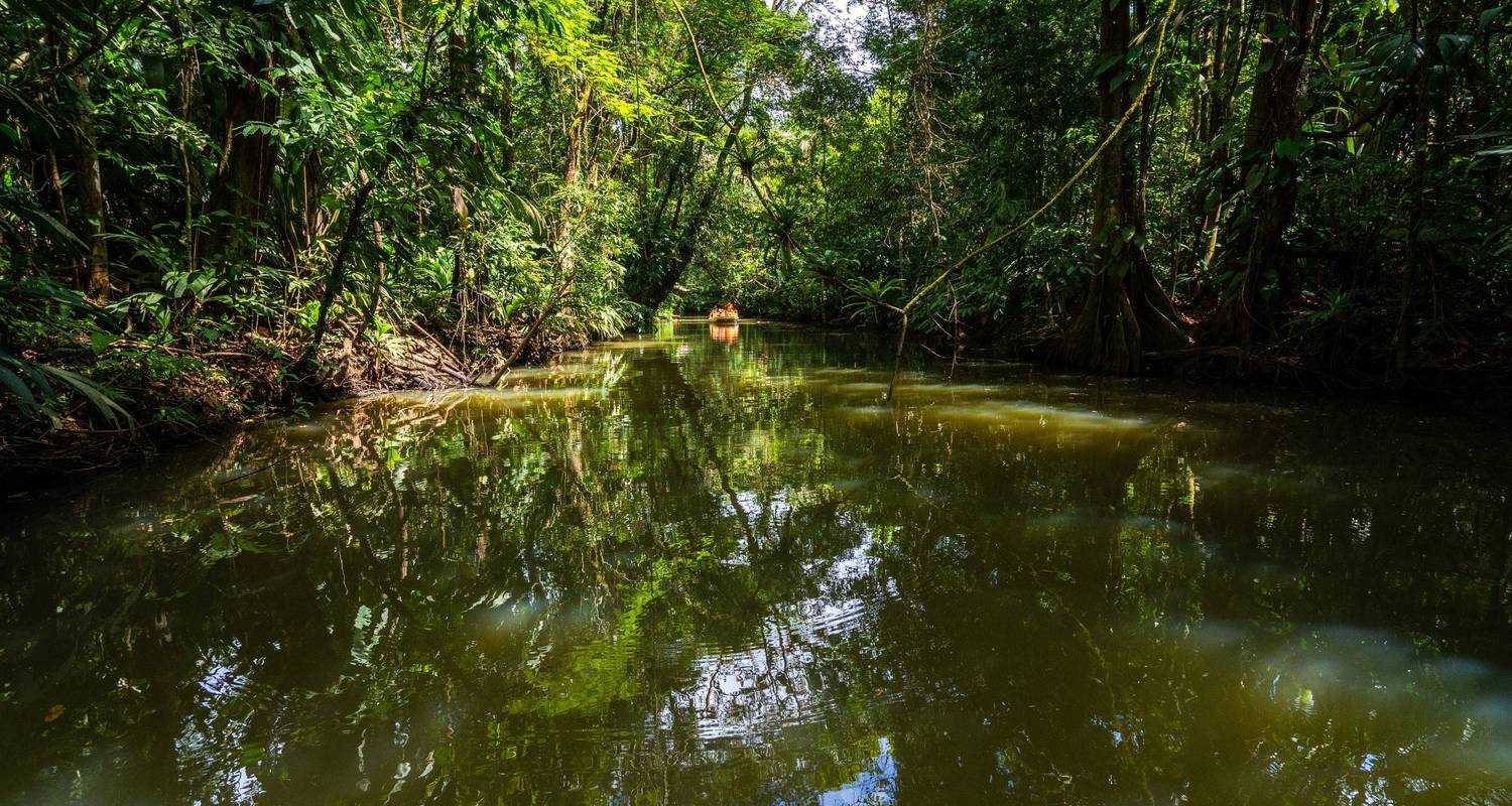 Explorer Tours & Trips in Tortuguero National Park