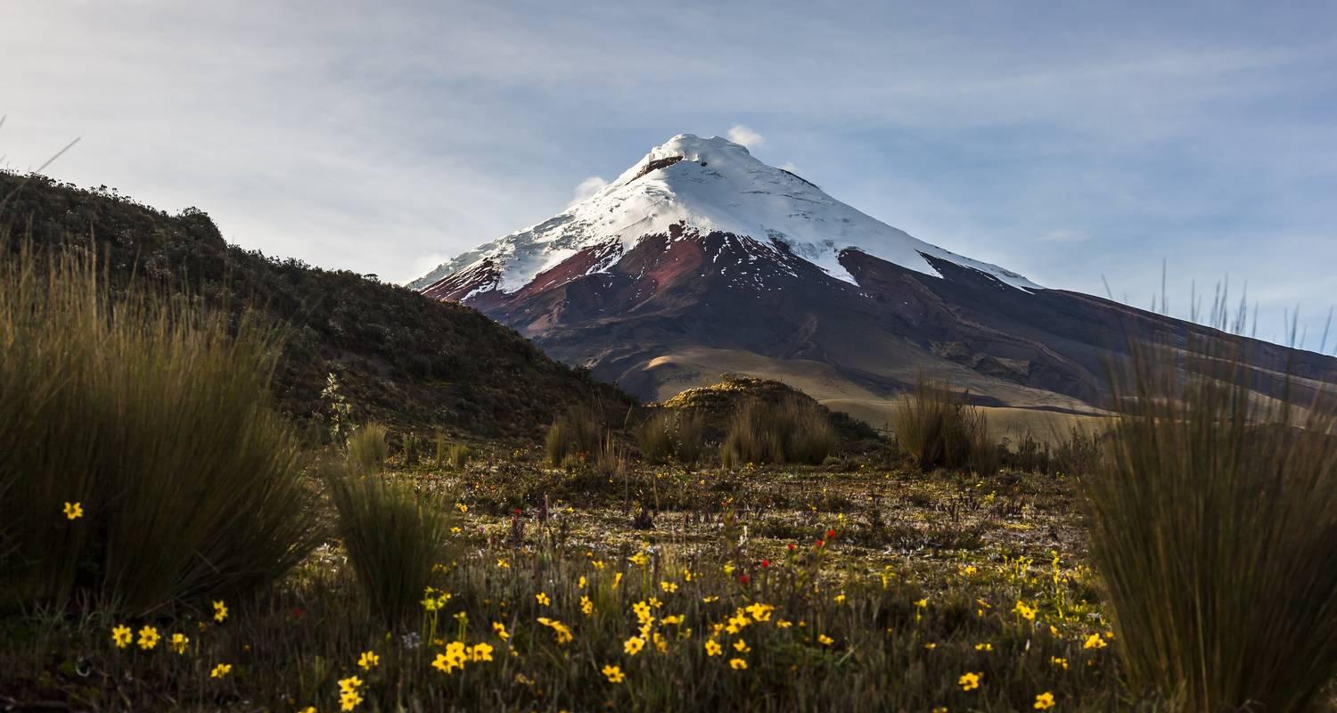 Cultures at the equator - Miller Reisen