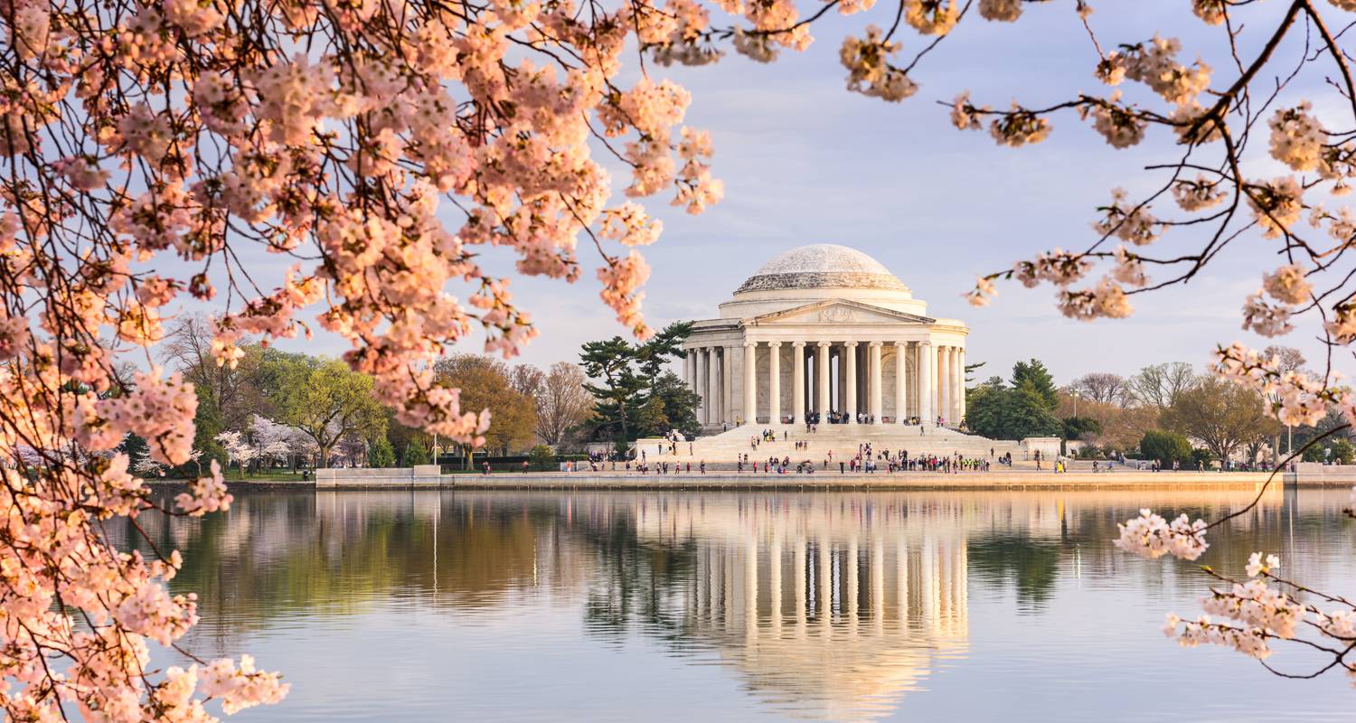 Spotlight on Washington, D.C. Exploring America's Capital (2024) by