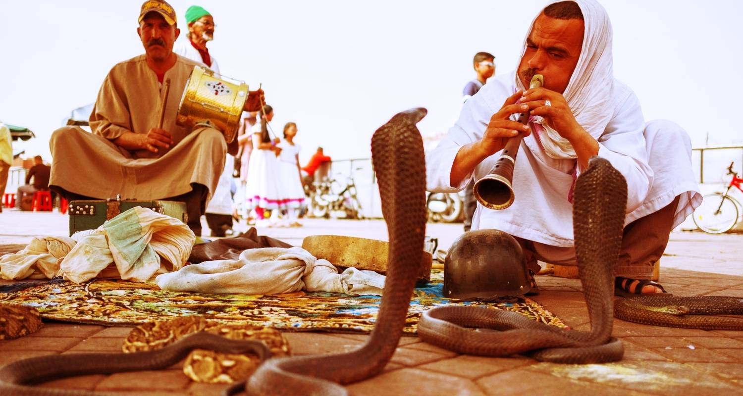 Circuits et voyages de 10 Jours dans le Désert du Sahara