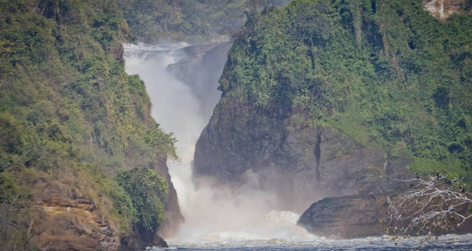 3 Days Spectacular Murchison Falls Tour - All in Africa Safaris