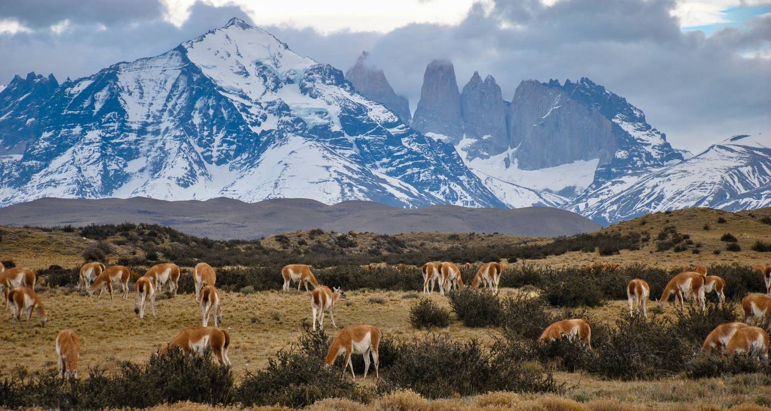 Puerto Natales & Paine Towers - People Travel and Experience