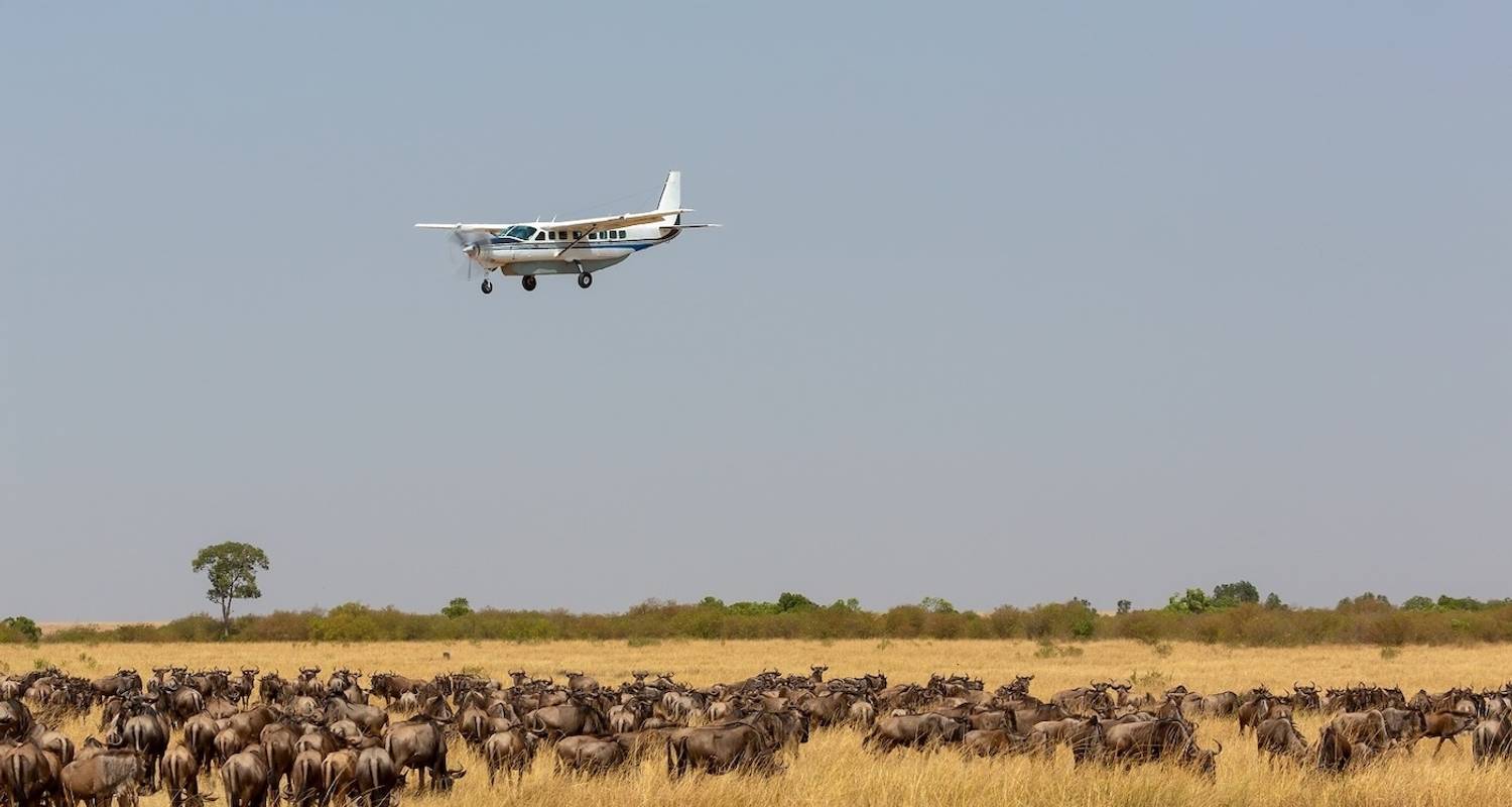 3 days Serengeti & Ngorongoro Fly-in Lodge safari from Zanzibar - Serengeti African Tours