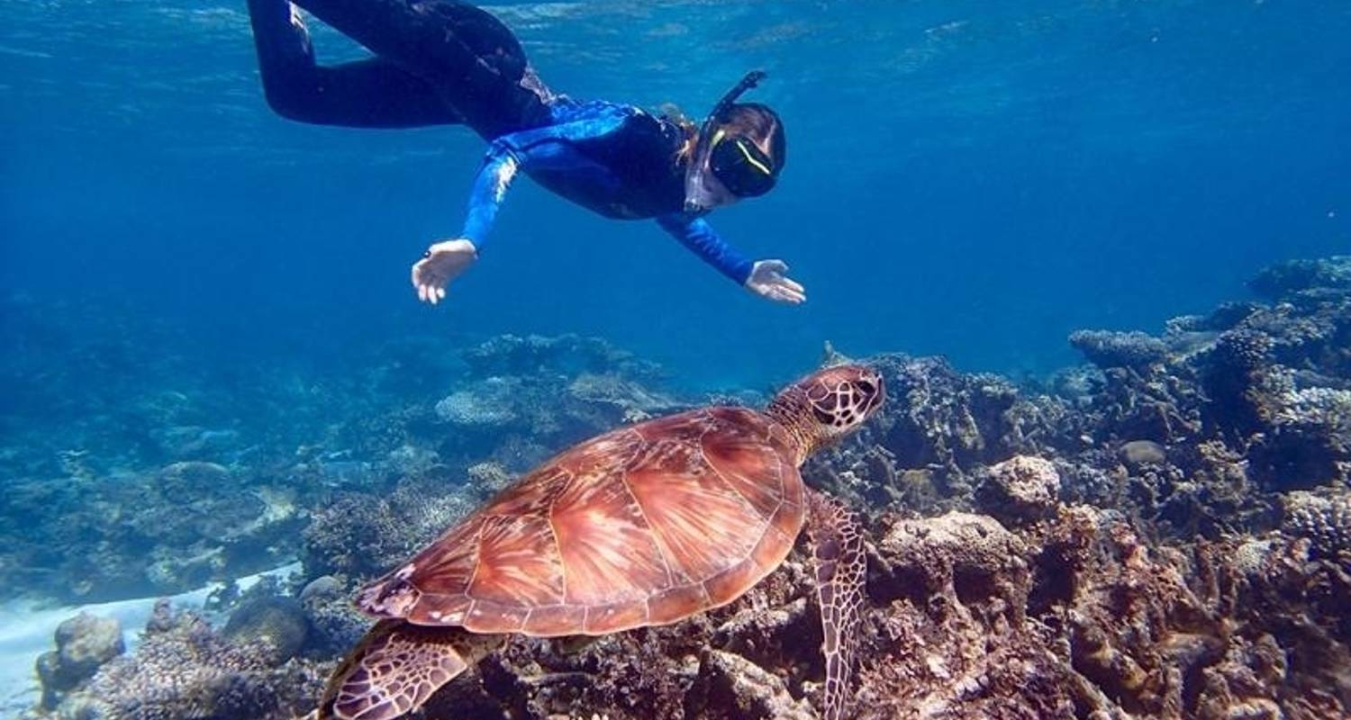 De westkust van Australië & Ningaloo Reef - een boutique-rondreis - 8 dagen - Via Travel Australia