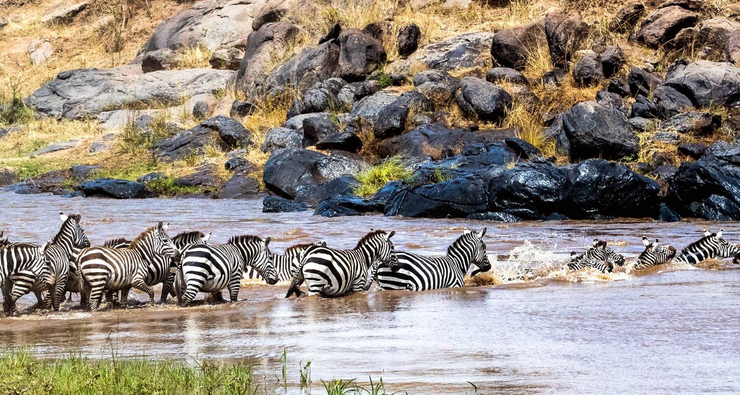 4 jours Parc national du Masai Mara et lac Nakuru - JOYINA SAFARIS AFRICA