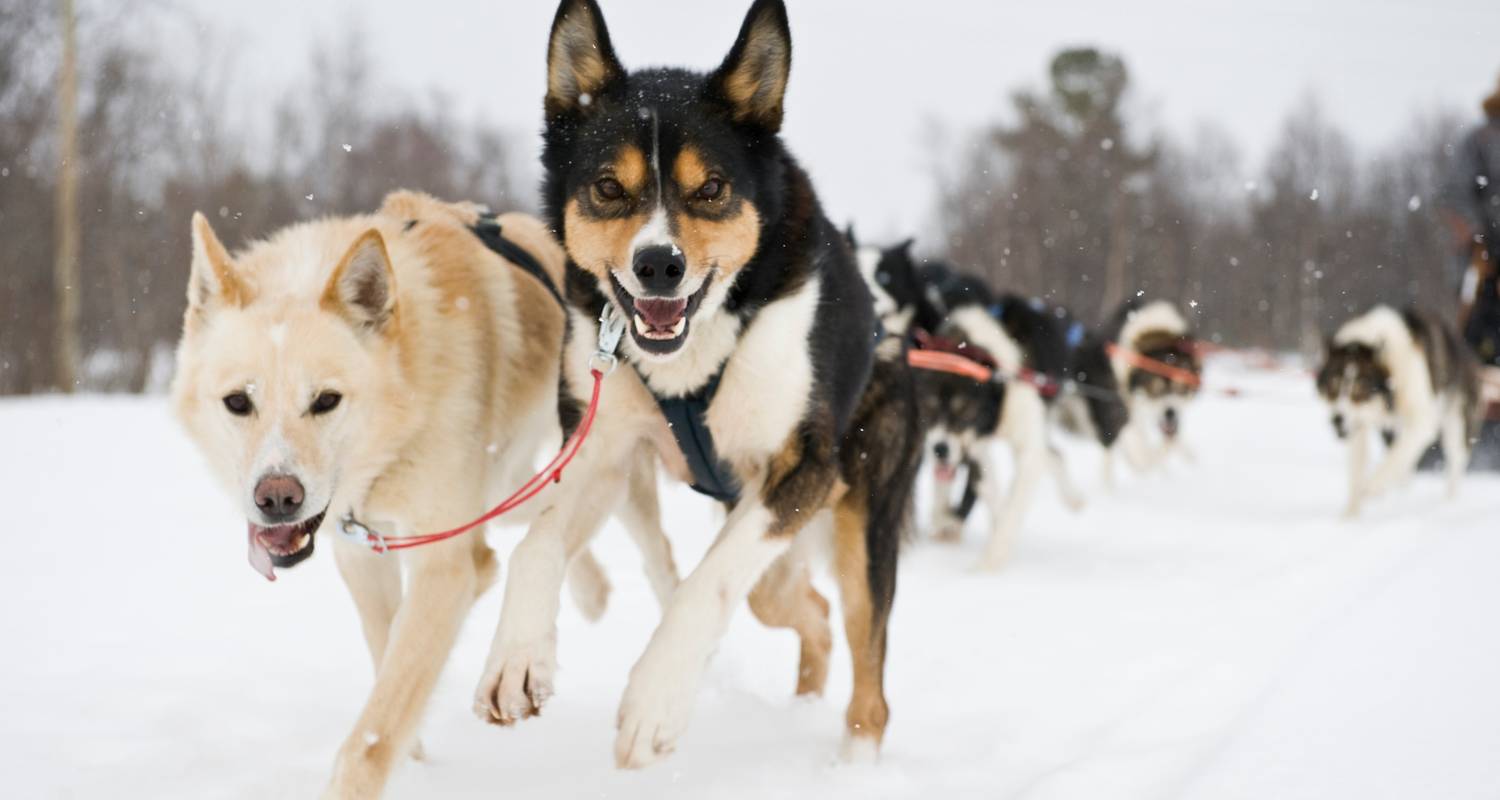 North Cape Under the Snow - fly & drive