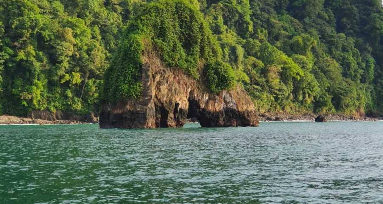 La nature sauvage de la côte pacifique et l'observation des baleines - BnB Colombia Tours