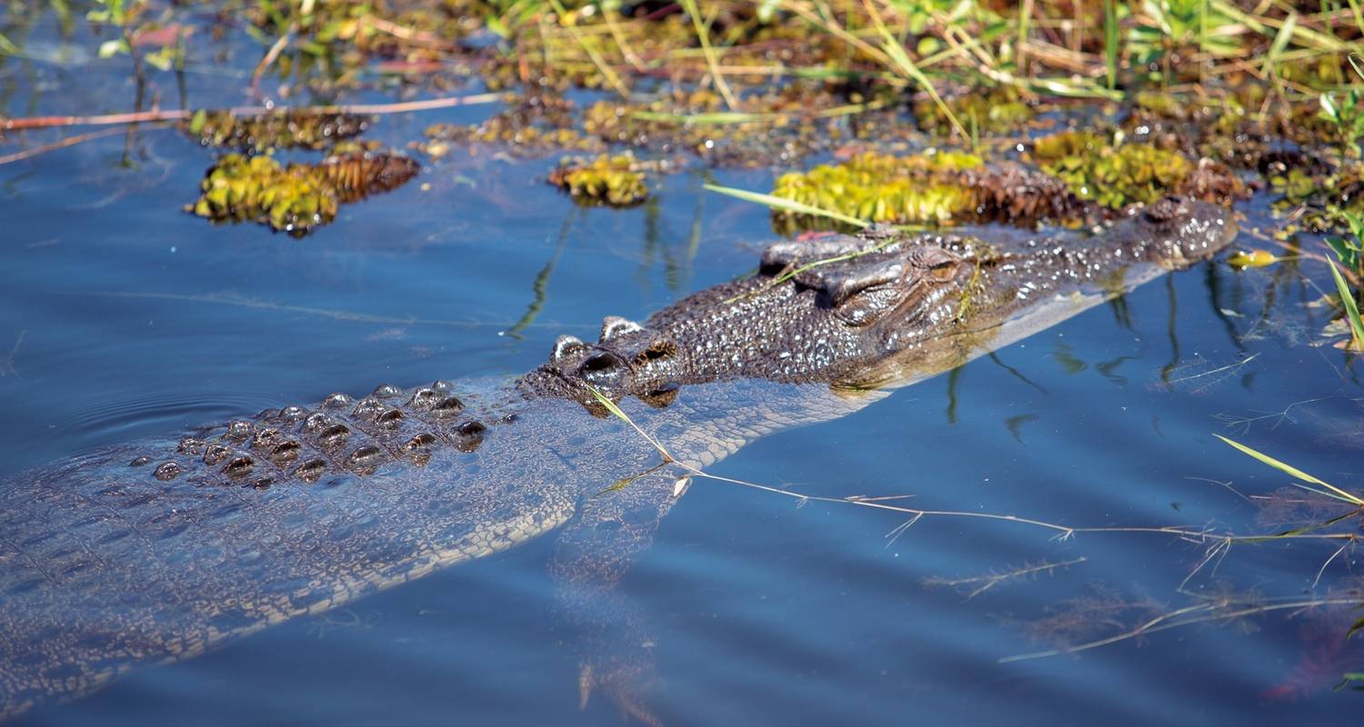 Kakadu et East Alligator River (court séjour, 2 jours) - AAT Kings