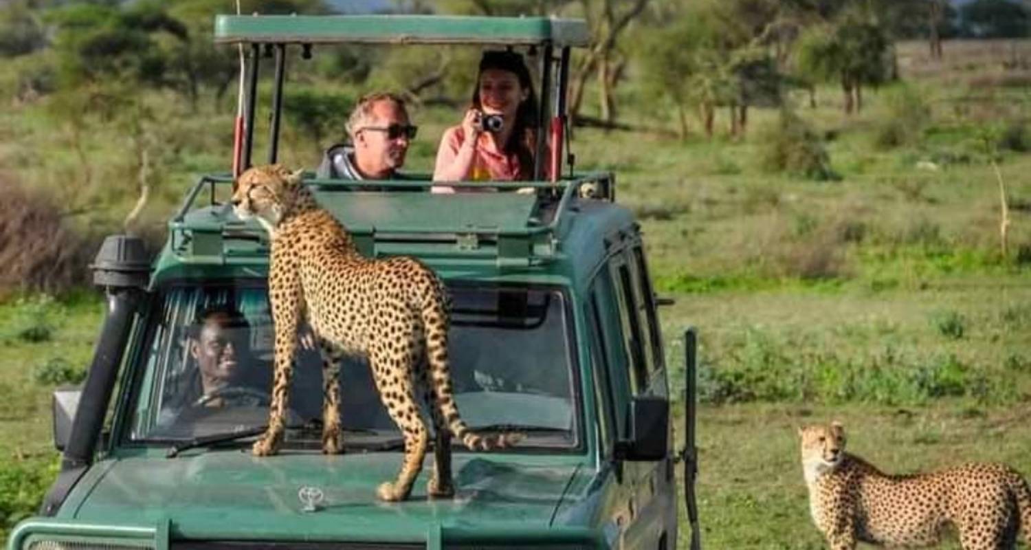 4 dagen wonder van tanzania safari - kilimanjaro habitas