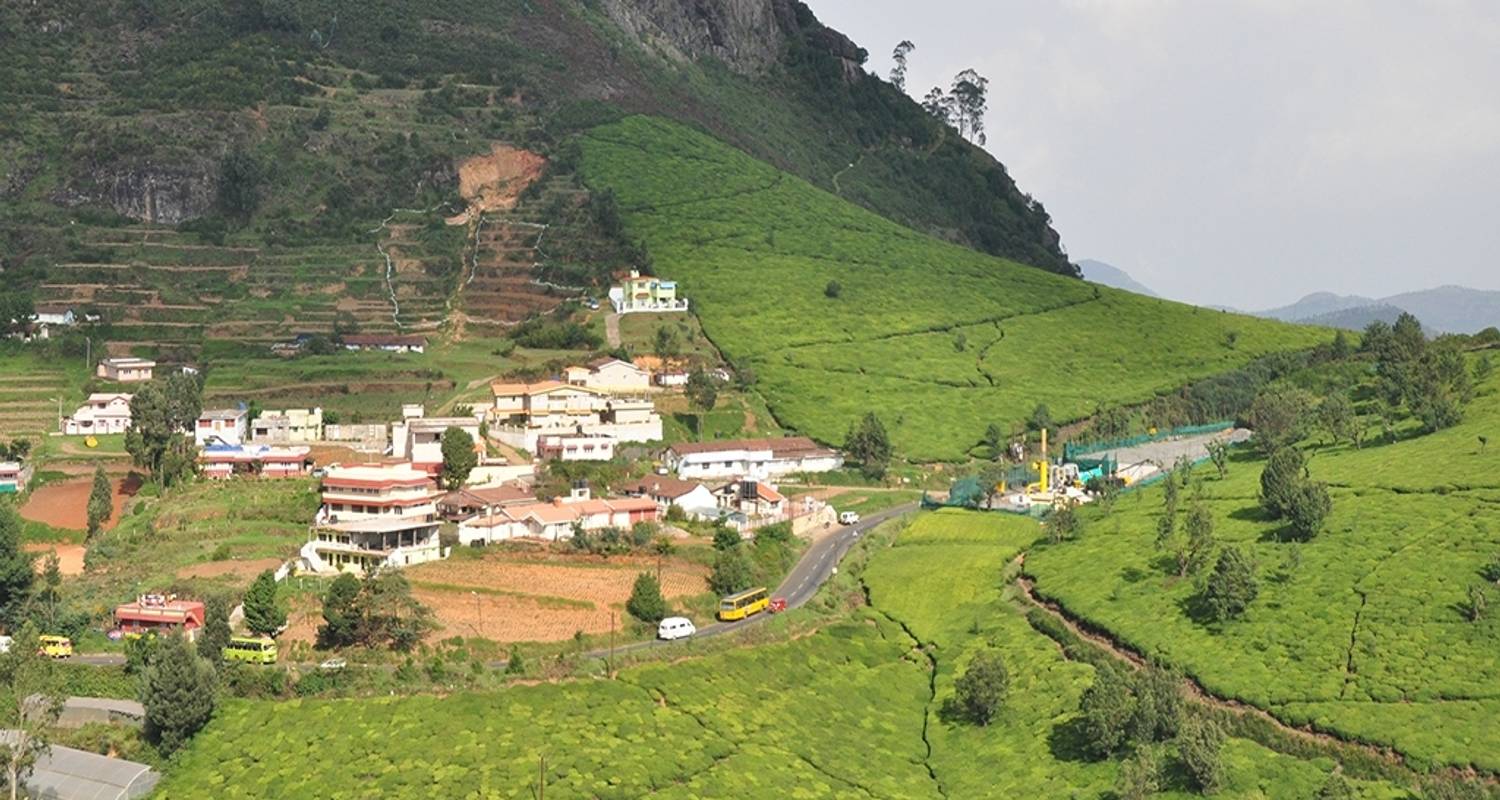 Deléitate con la belleza natural: circuito de 4 días a Bandipur con Ooty y Coonoor(Todo incluido) - Travel Con