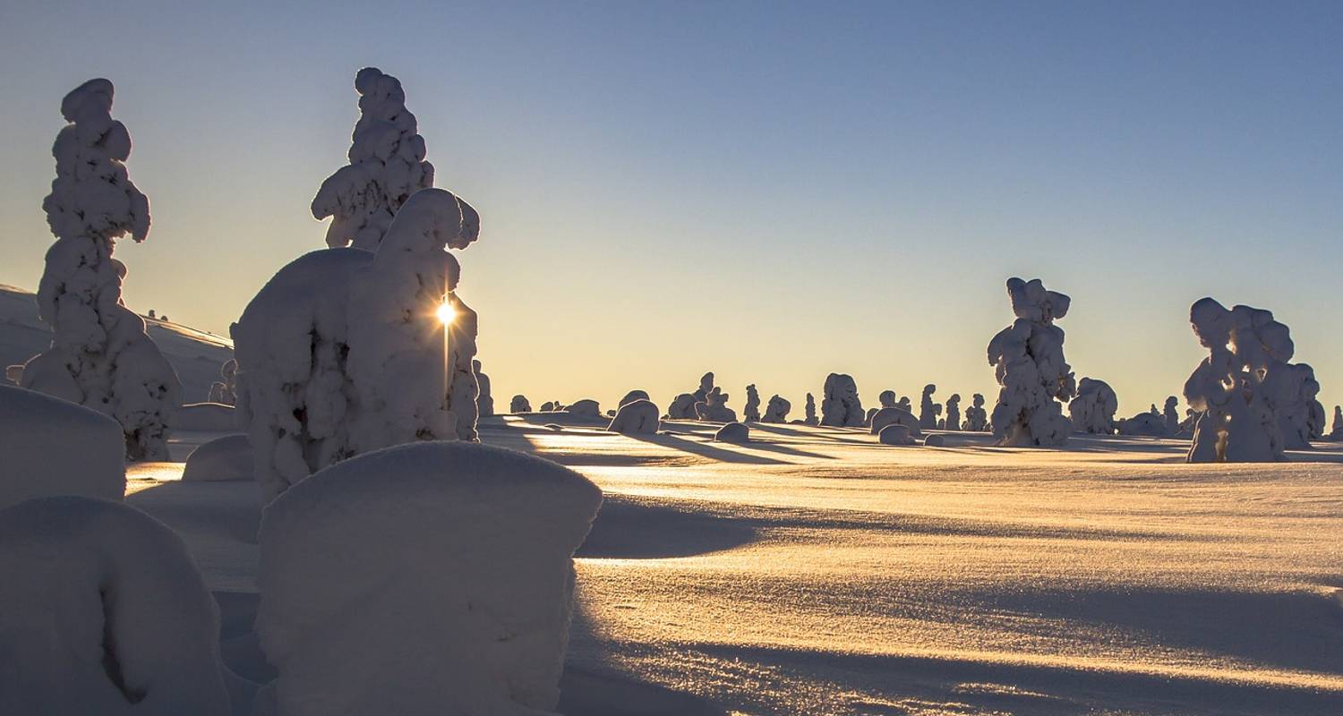 Finland - Northern Light Adventure