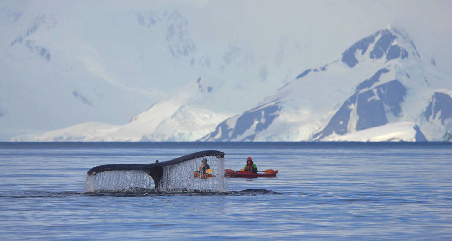 Klassiek Antarctica - M/V Ushuaia - Explore!