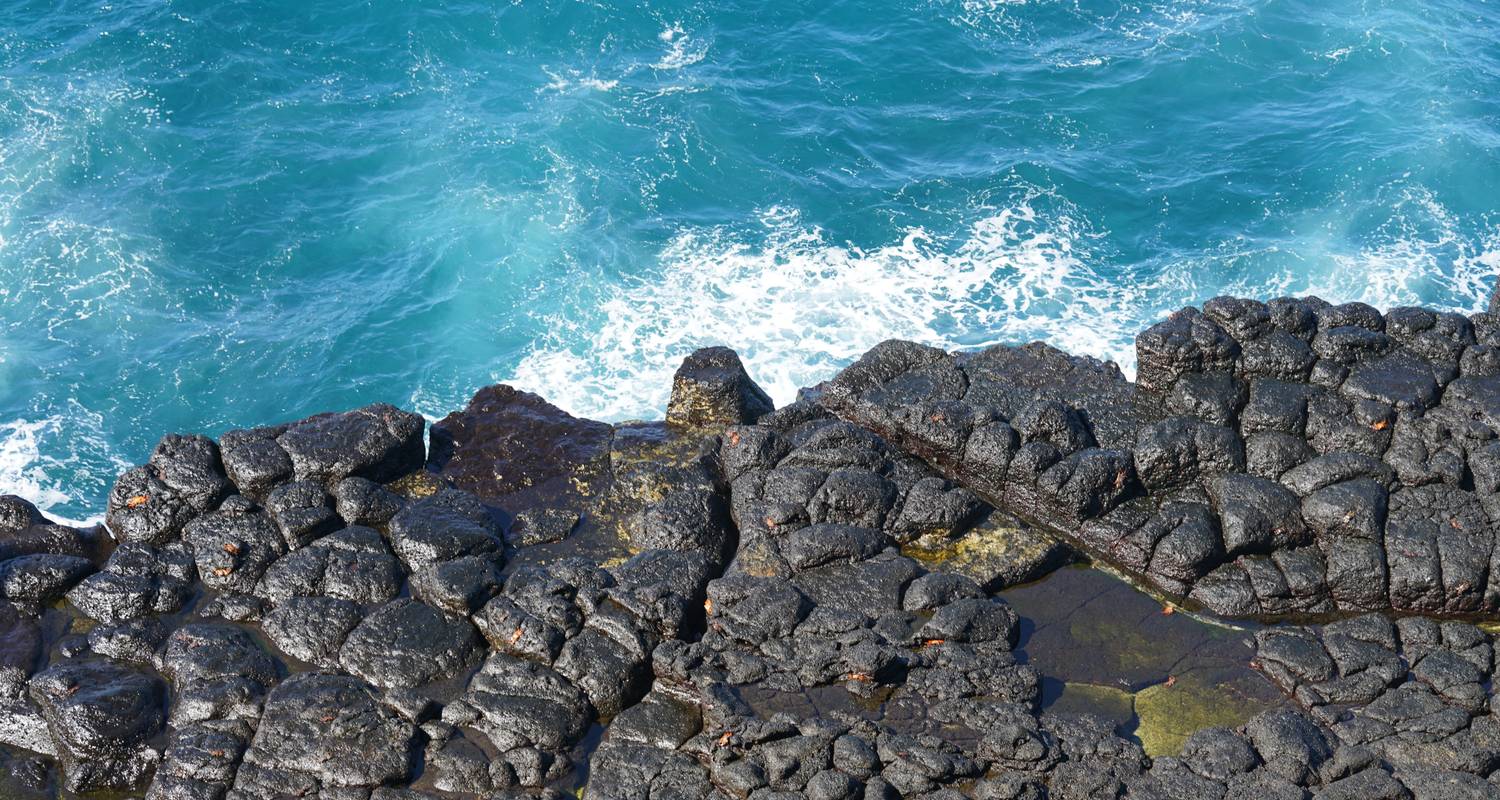 Équateur - Elemental Galapagos - Receptivo Aborigen Tours