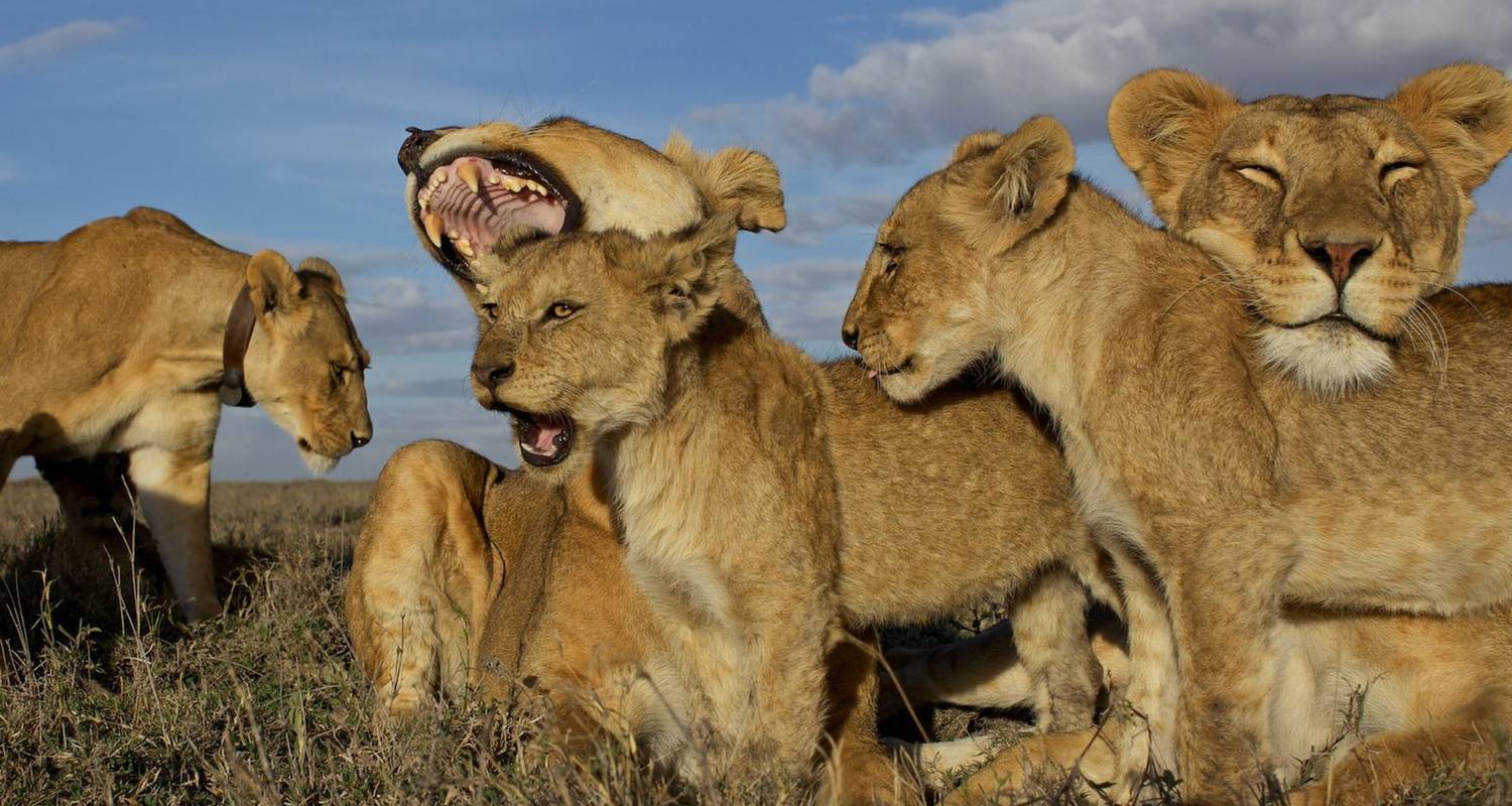 Familie Rondreizen in Oost-Afrika