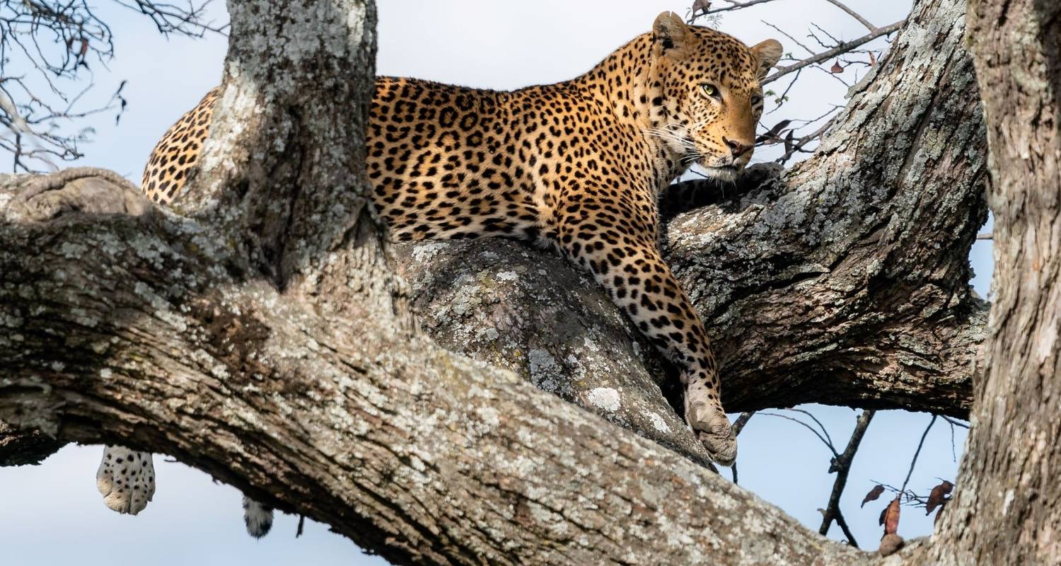 Take Me Around East Africa - Holiday Destination Safaris