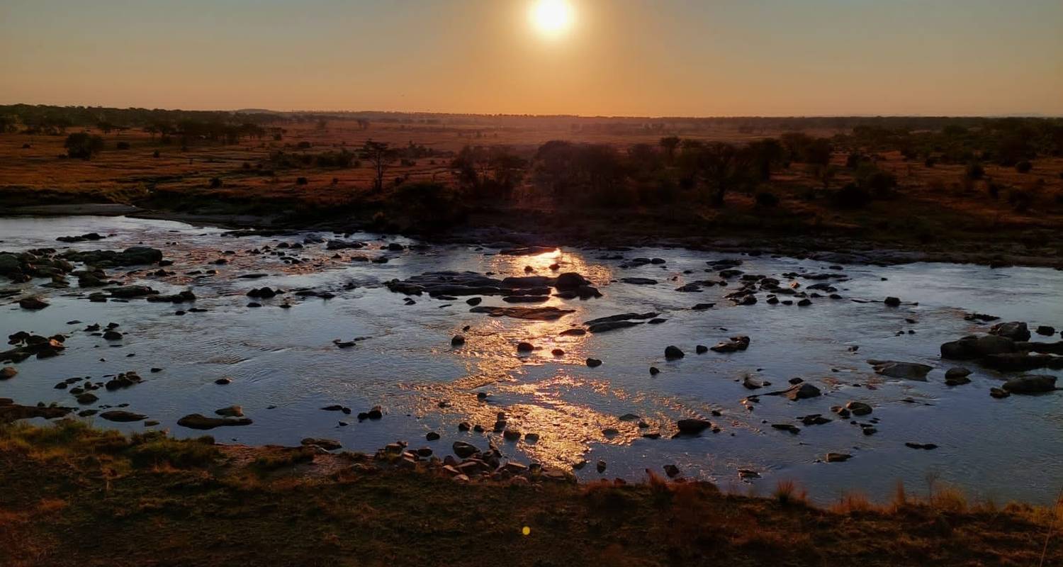 Safari económico en grupo de 4 días en Tanzania - Safari Serengeti Booking