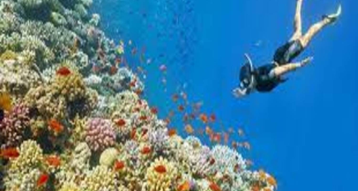 Snorkelen op het eiland Giftun - Alacart Travel Egypt