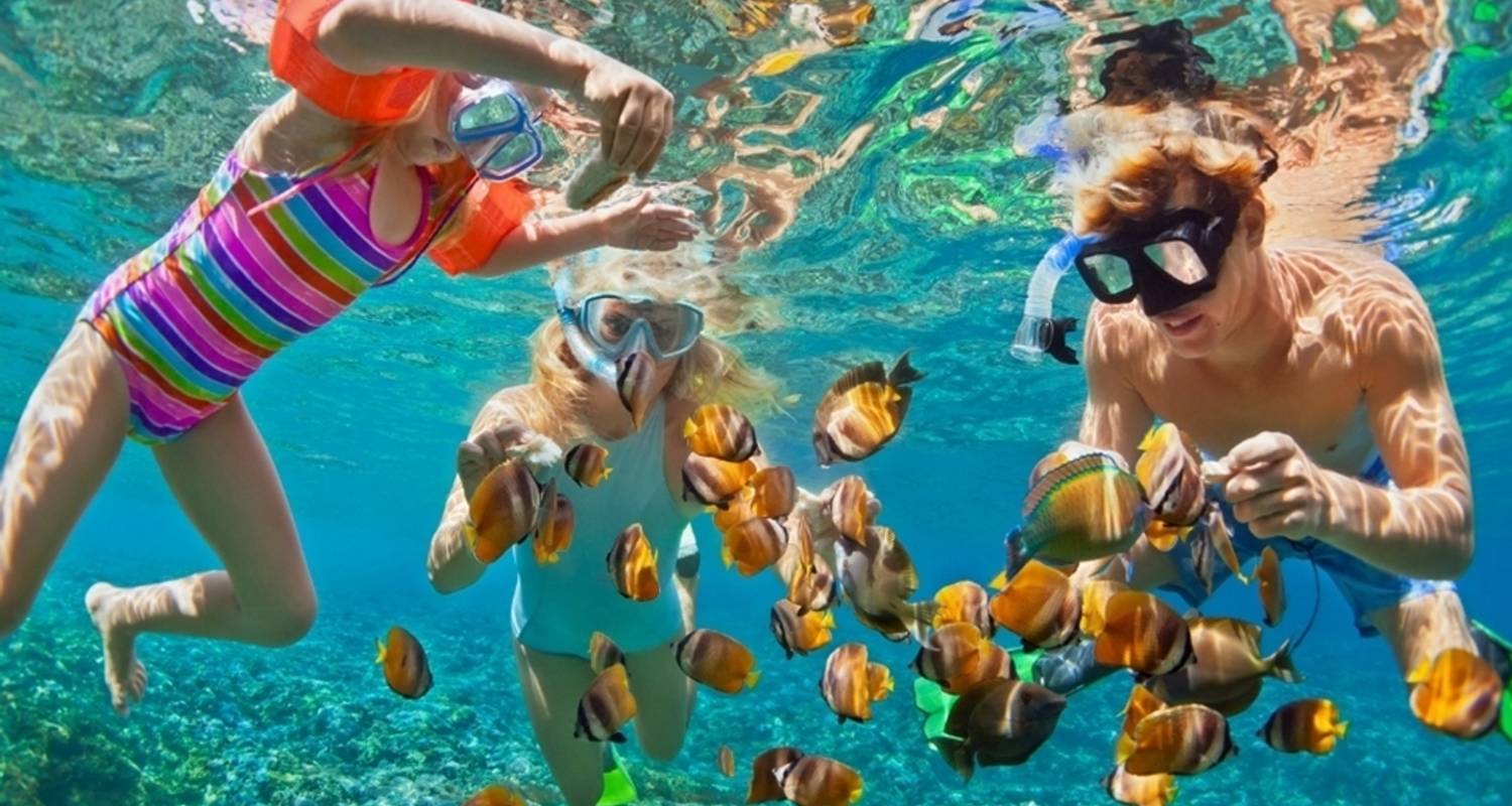 Journée de plongée en apnée sur l'île paradisiaque au départ d'Hurghada
 - Alacart Travel Egypt