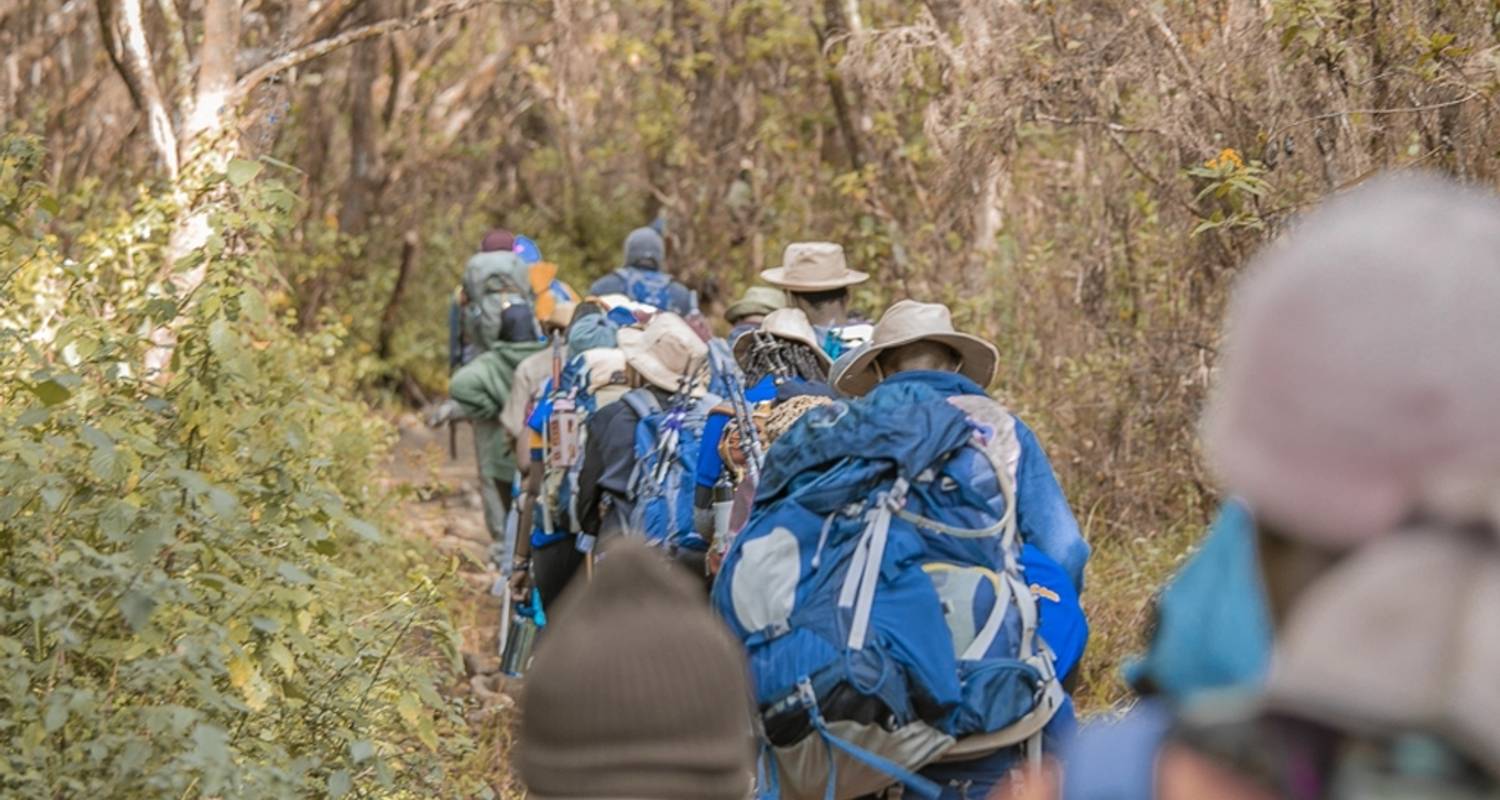 Circuits et voyages Mont Kilimandjaro au départ de Mont Kilimandjaro