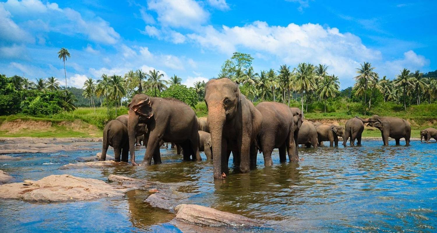 Holidays in Sri Lanka - 04 Days 03 Nights Tour - Explore Vacations PVT Ltd