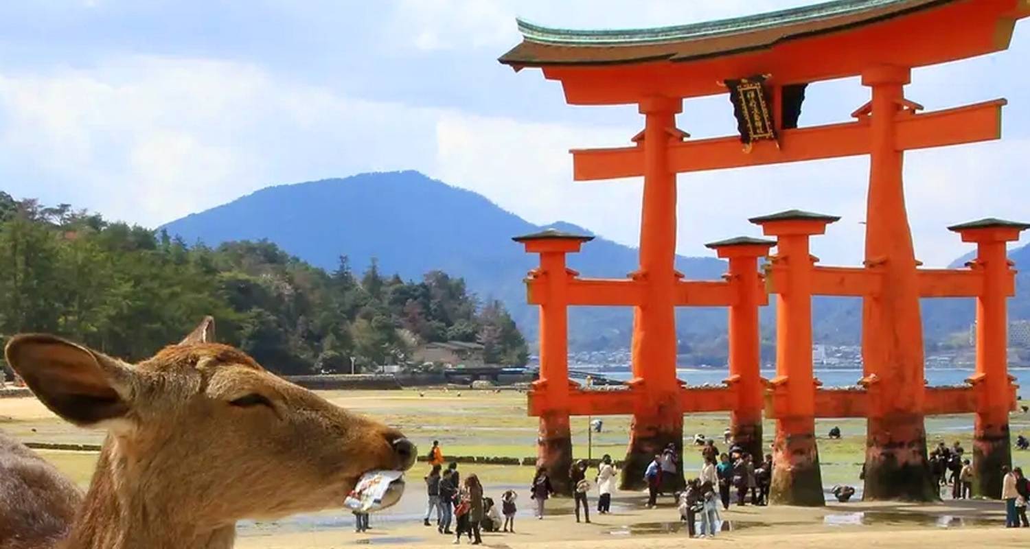 【Taiwan & Japan and Hiroshima】Historical Highlights of Taiwan and Japan 17 days tour Package