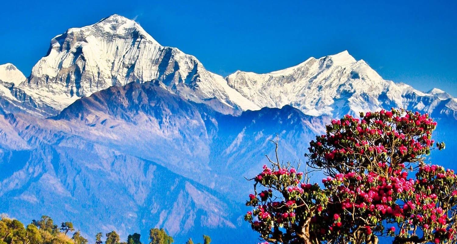 Poon Hill trektocht voor 8 dagen - Nepalgram Adventure