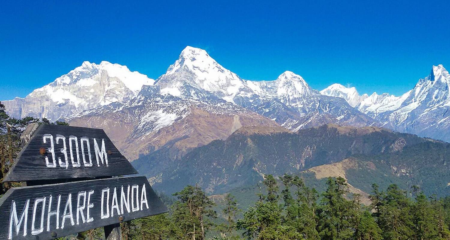 Poonhill Mohare Dada Circuit Trek voor 6 dagen - Nepalgram Adventure