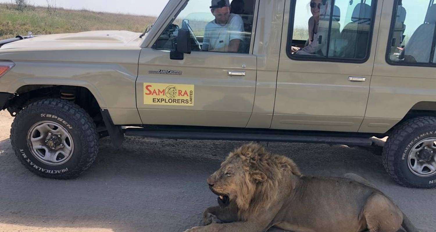 Grote vijf Rondreizen in Tanzania