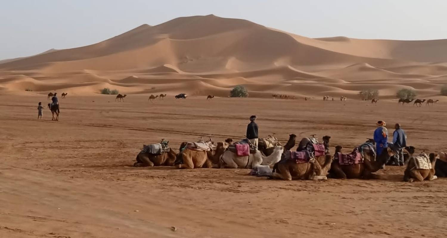 Circuit de 3 jours à Merzouga au départ de Marrakech - Morocco Desert Trip