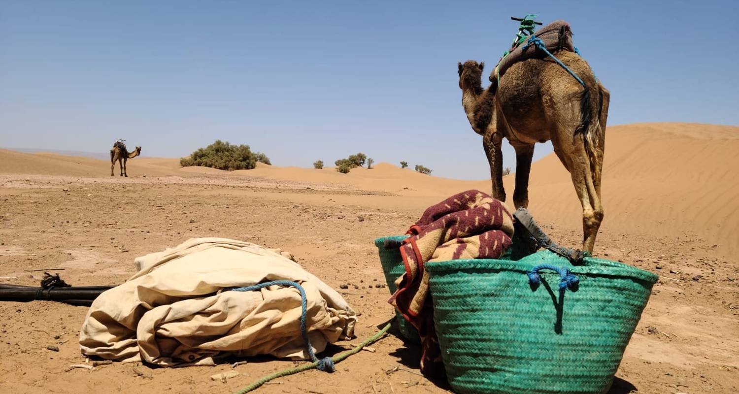 Kameeltrektocht vanuit M'hamid 3 dagen - Morocco Desert Trip