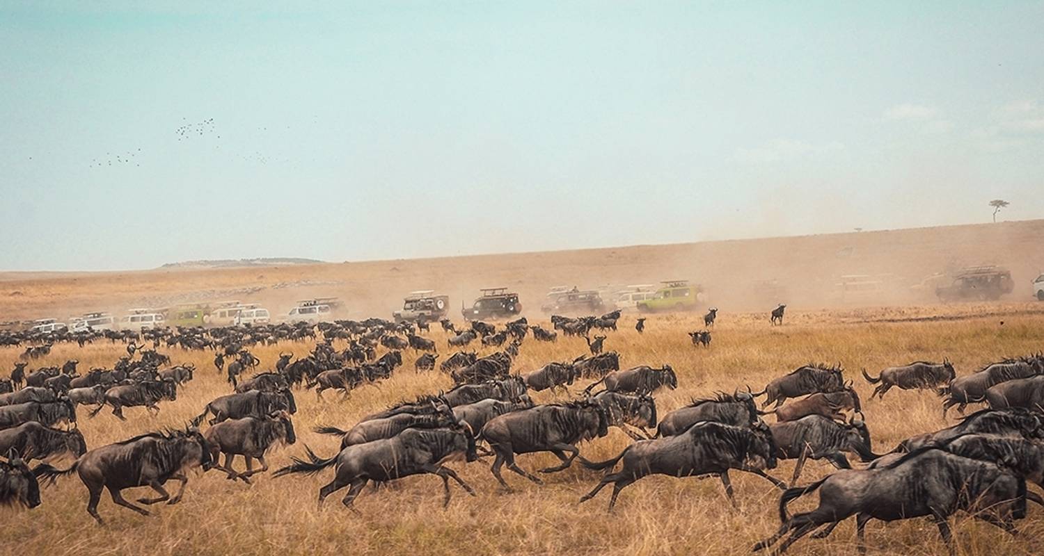 Kenia-Tansania Jeep Tour