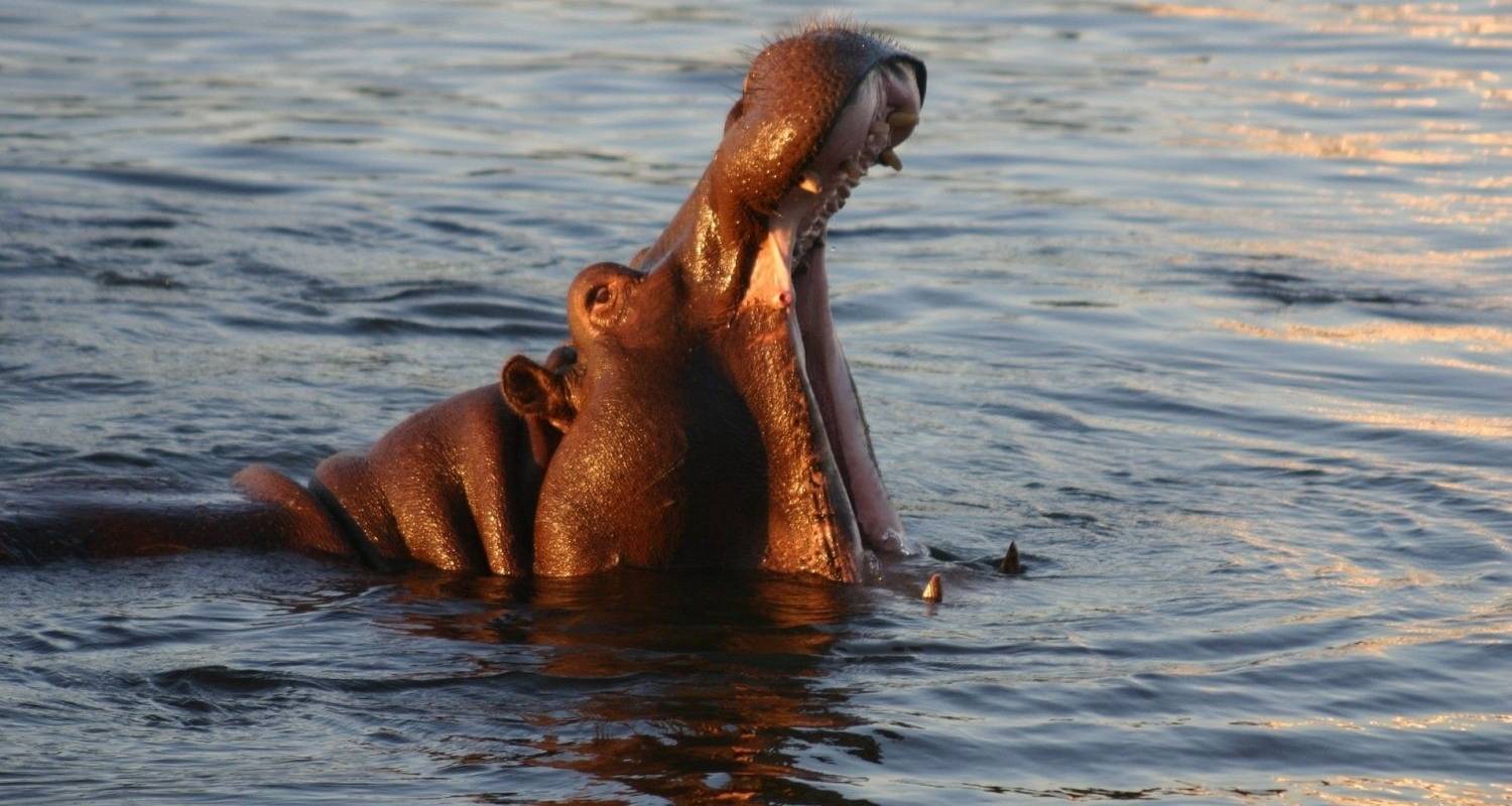 Südafrika-Sambia Weihnachts- & Silvesterreise Rundreisen