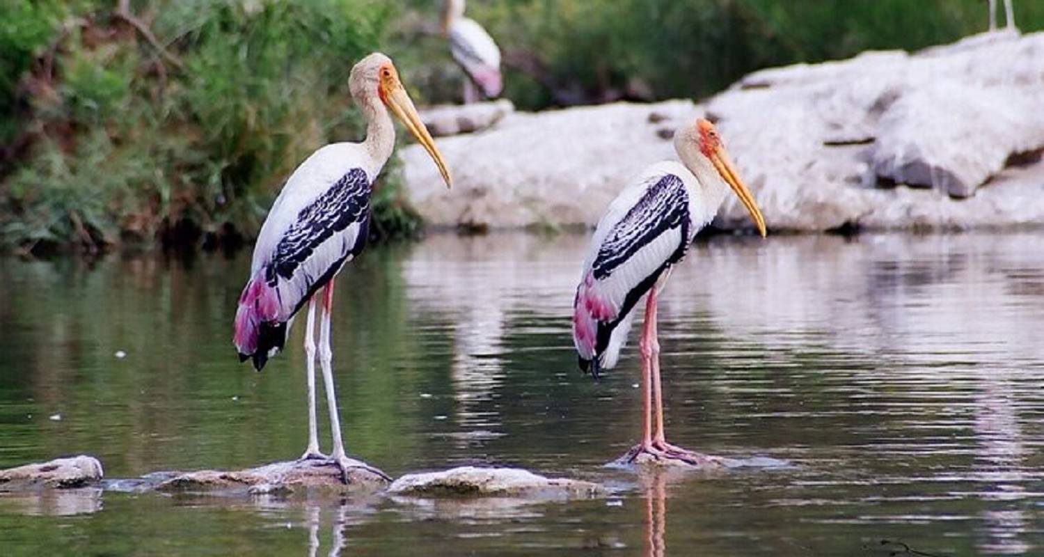 Golden Triangle with Bharatpur  Bird Sanctuary All Including - Fragrance of Taj