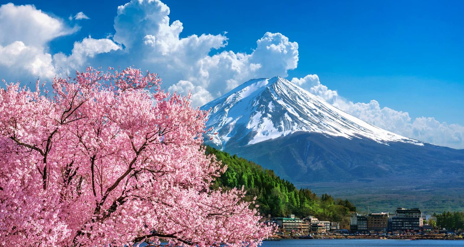 Circuit - Japon Bonsaï - Bavaria Fernreisen