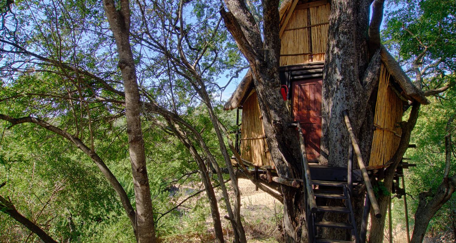 4 Day Lodge and Treehouse Kruger Park Safari - Viva Safaris