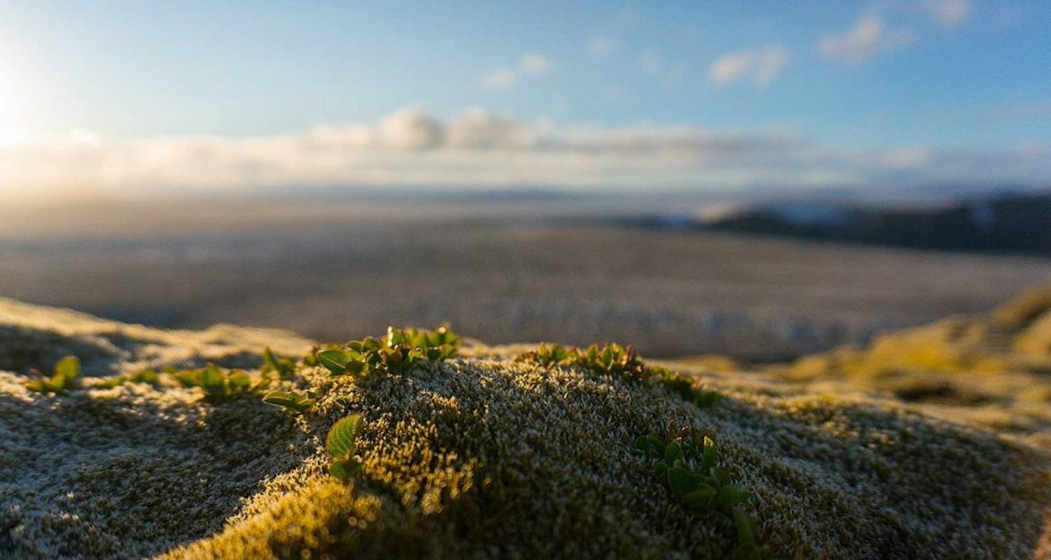 5-Day Vatnajökull Wilderness Trek