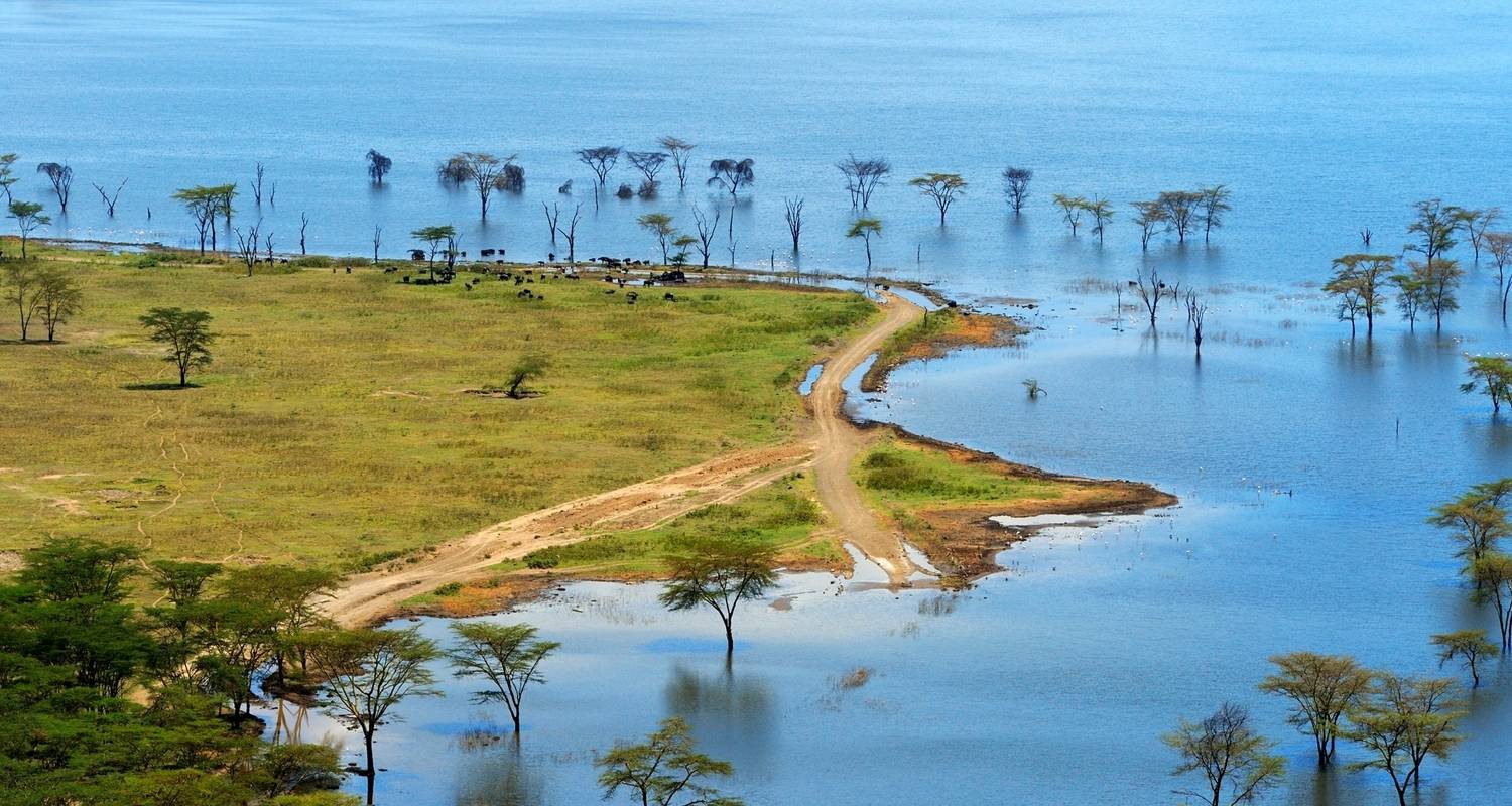 Grande expédition africaine vers le nord - avec hébergement - 56 jours - On The Go Tours