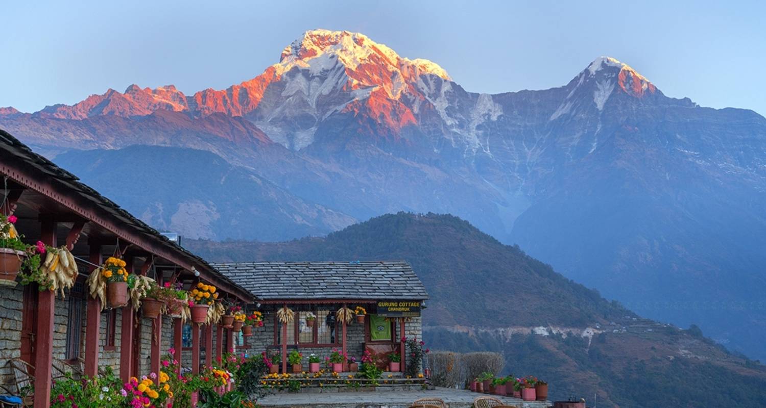 Five Days Ghorepani Poonhill & Ghandruk Trek From Pokhara - Linkage Tours And Travels Pvt. Ltd.