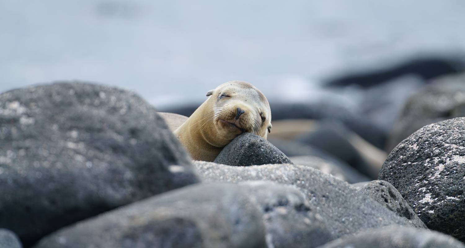 Galapagos Islands Tours & Trips