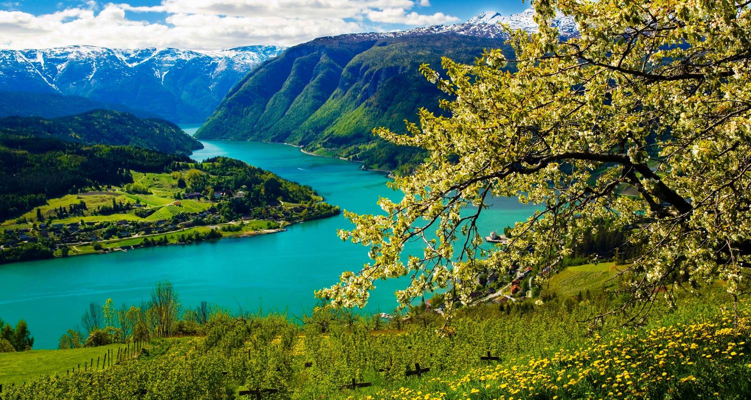 Vision of Scandinavia & The Baltics