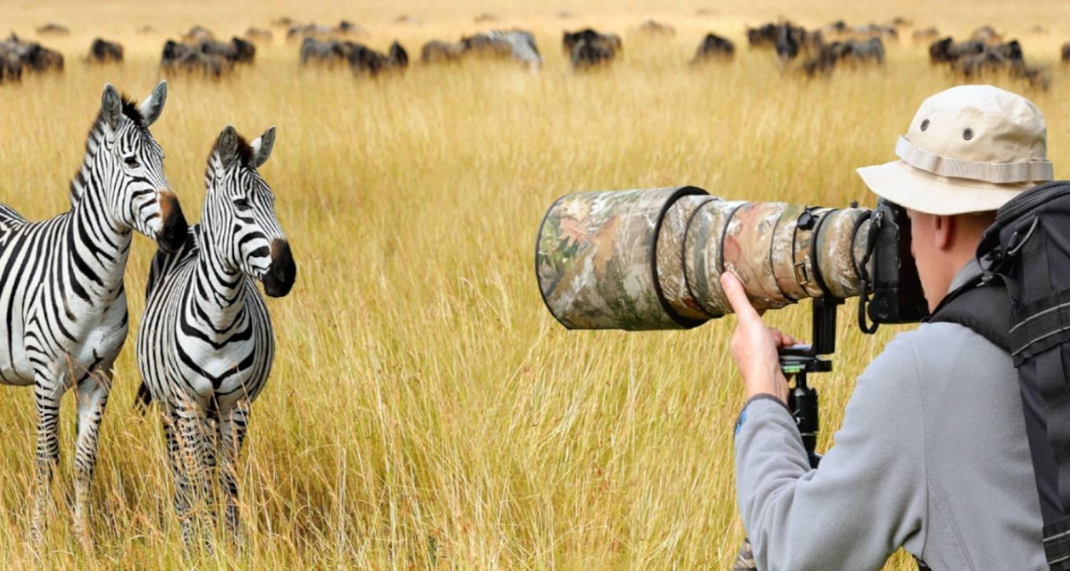 Ngorongoro Safari