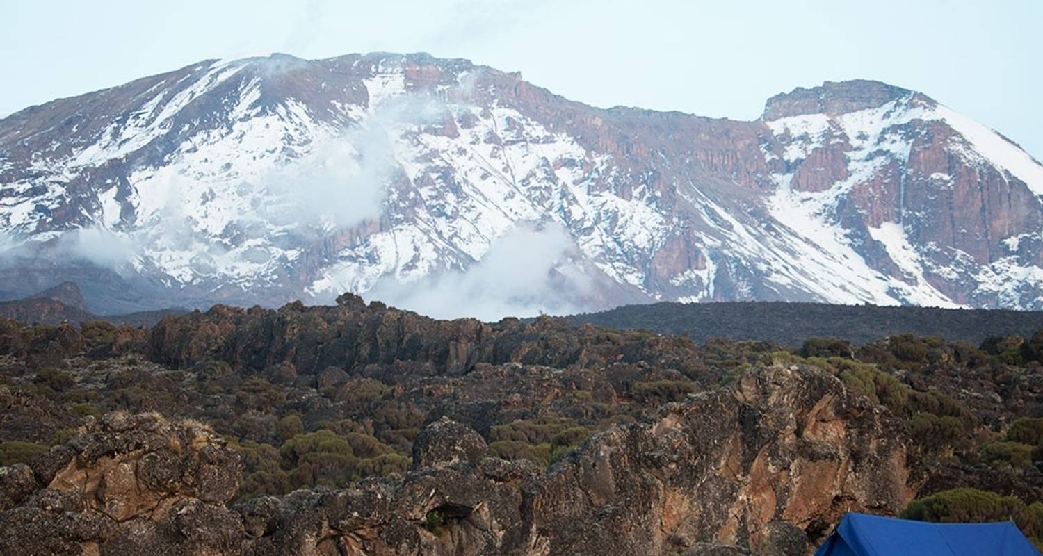 Mount Kilimanjaro Tours from Kilimanjaro