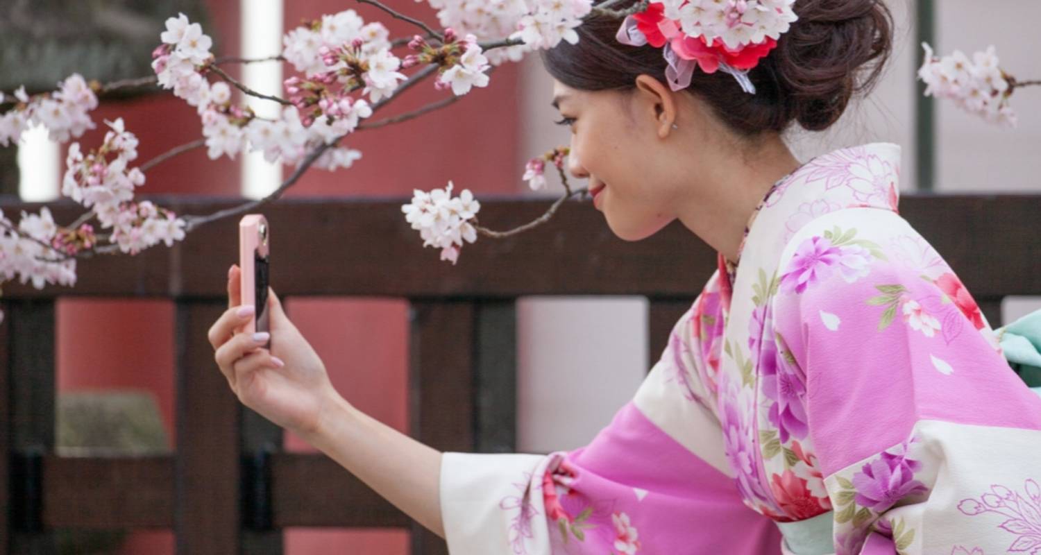 Best of Japan: Tokyo to Osaka (Private Guided, 4-star Hotels)