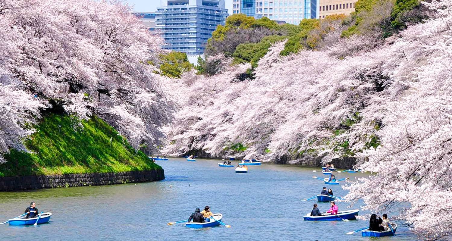 Entdecker Rundreisen von Tokio nach Osaka