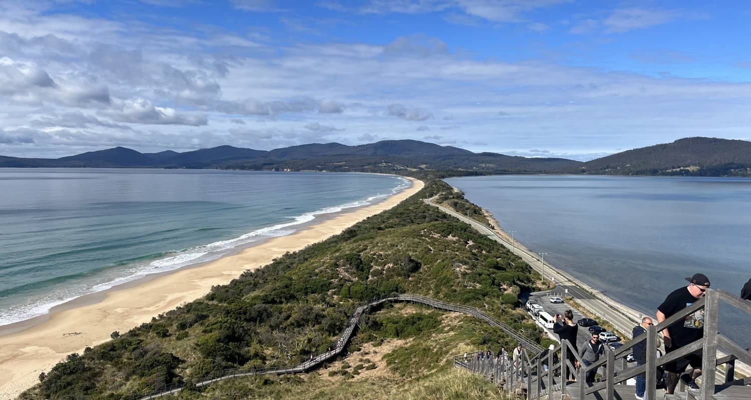 Cradle Mountain & Bruny Island Tour - Wild Tasmania Tours