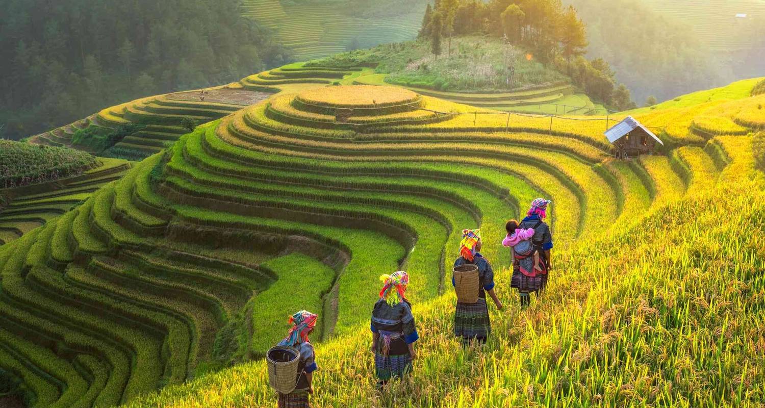 15 Dagen Vietnam Trektocht, Cultuur, Dorp, Etnisch, Natuur, Keuken - Indochina Today Travel