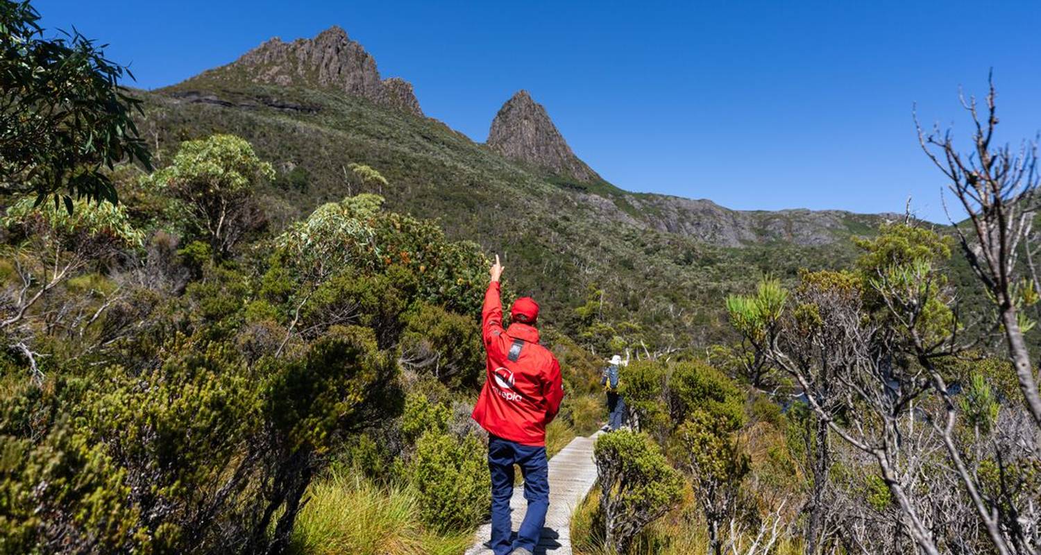 Circuits Tasmanie en Mars 2026