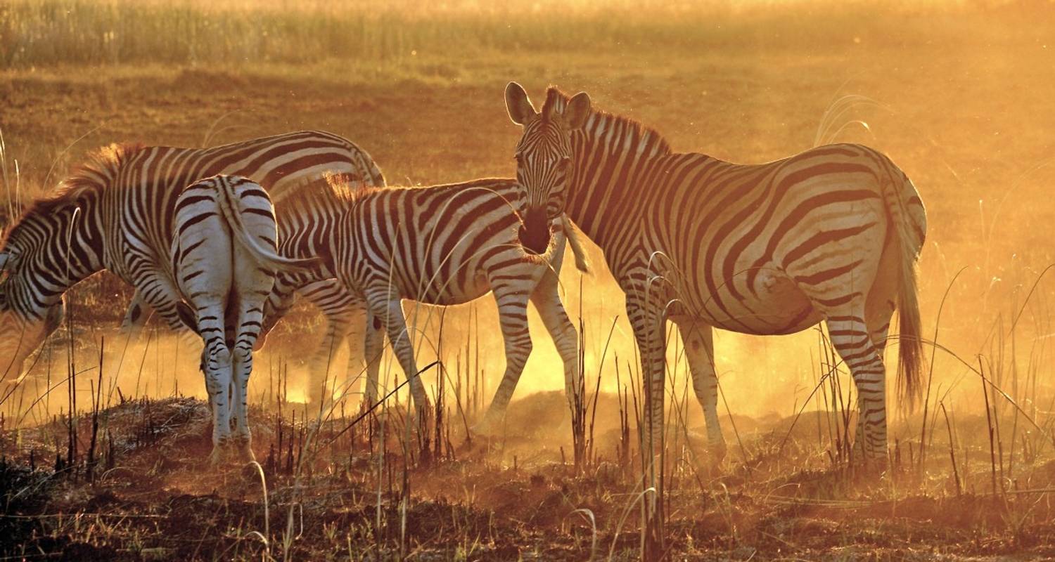 África desde su lado más bello - DIAMIR Erlebnisreisen